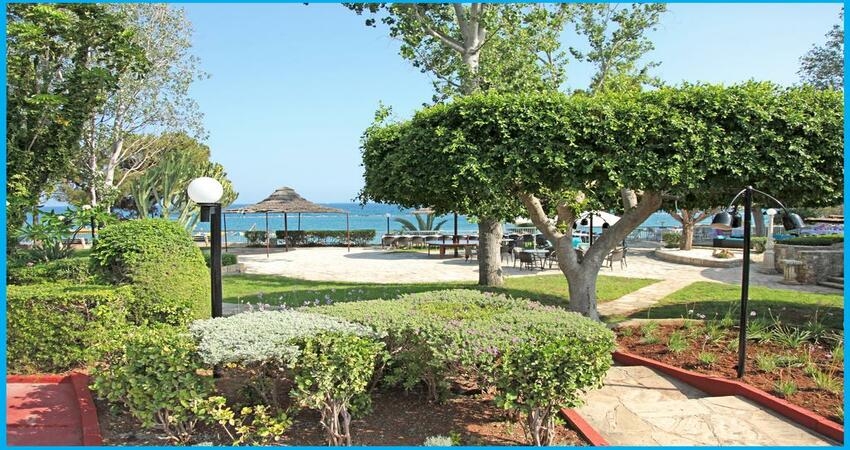 فندق بوزيدونيا بيتش قبرص - شاطئ بالفندق