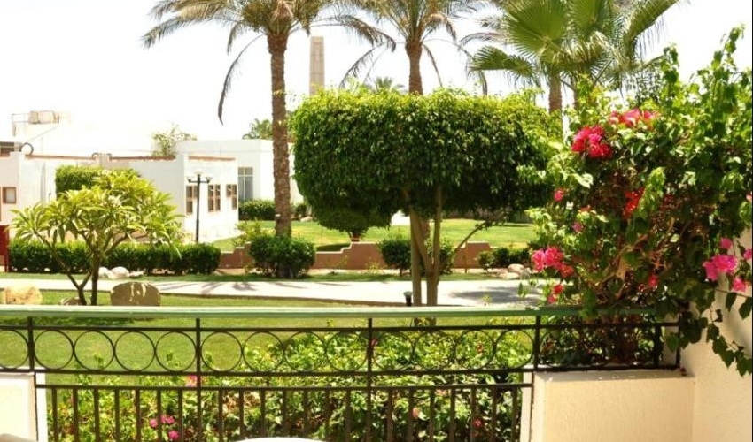 فندق سفير شرم الشيخ الحديقة